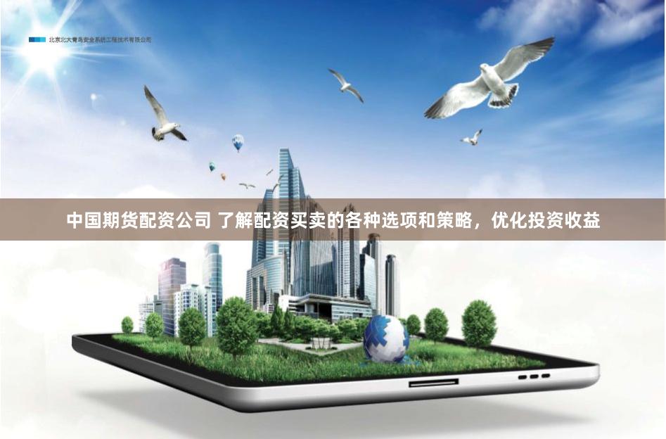 中国期货配资公司 了解配资买卖的各种选项和策略，优化投资收益
