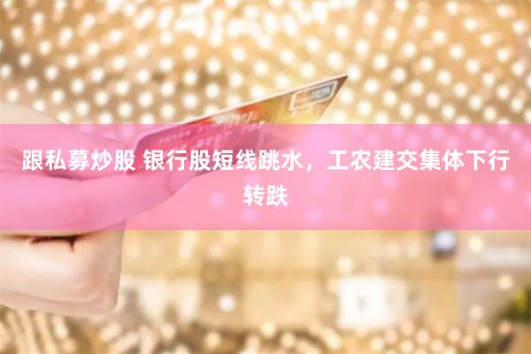 跟私募炒股 银行股短线跳水，工农建交集体下行转跌