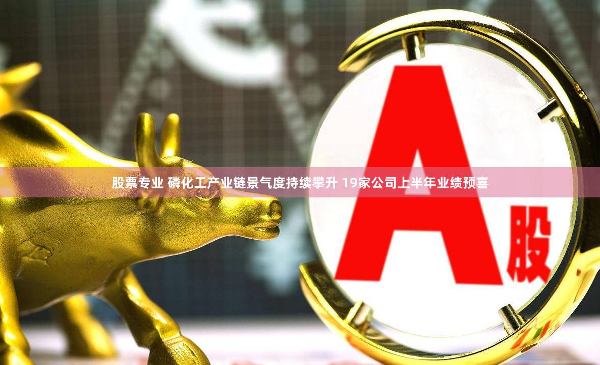 股票专业 磷化工产业链景气度持续攀升 19家公司上半年业绩预喜