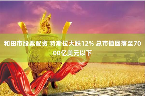 和田市股票配资 特斯拉大跌12% 总市值回落至7000亿美元以下