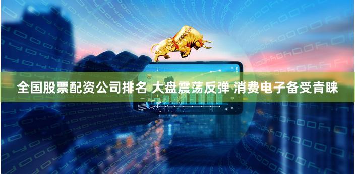 全国股票配资公司排名 大盘震荡反弹 消费电子备受青睐