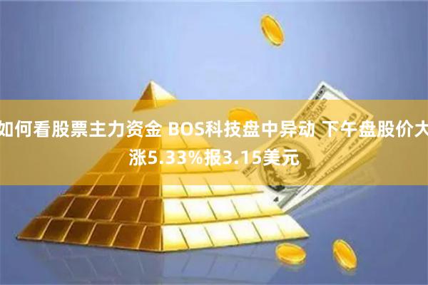 如何看股票主力资金 BOS科技盘中异动 下午盘股价大涨5.33%报3.15美元