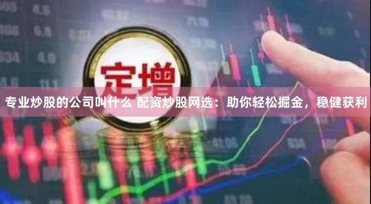 专业炒股的公司叫什么 配资炒股网选：助你轻松掘金，稳健获利
