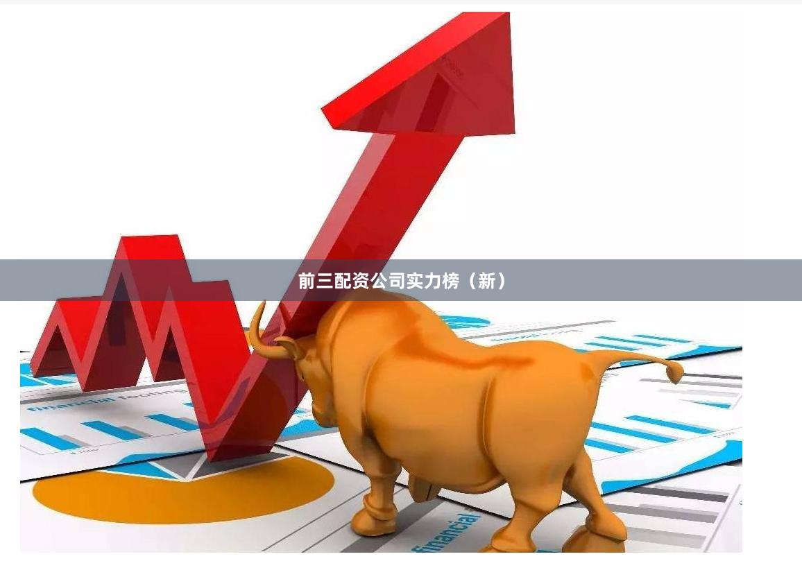 前三配资公司实力榜（新）